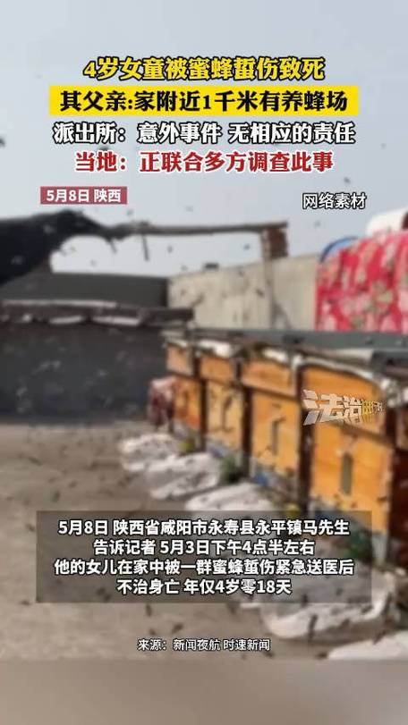 女童被蜜蜂蛰伤致死