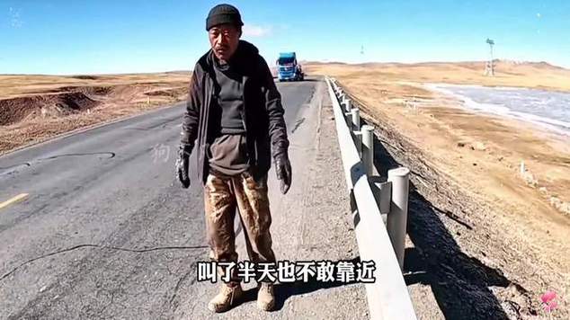 西藏自驾遭两狼夹击