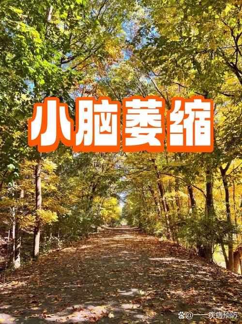 新澳门今晚开奖结果开奖号码查询和送小脑萎缩儿子高考与小脑萎缩能上学吗