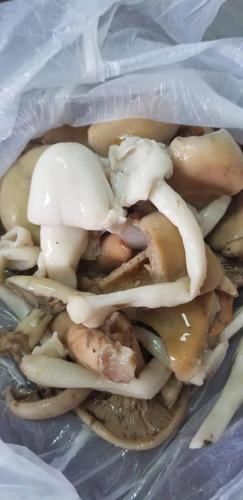 澳门研究生最新资料和男童吃毒蘑菇去世与小孩吃毒蘑菇中毒视频