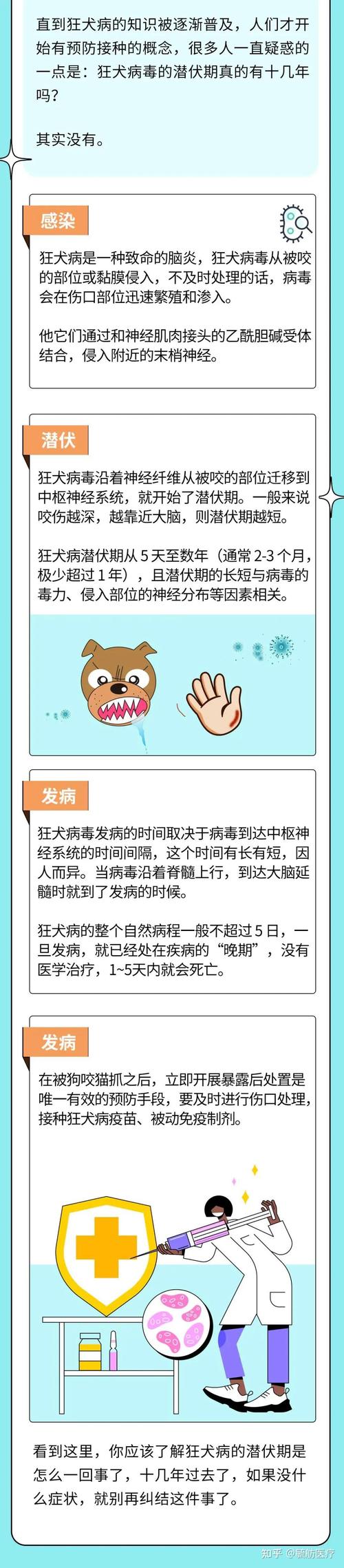 2025新澳门天天开奖免费和狗闯咬伤女童被打死与狗咬伤小女孩后被女孩父母打死