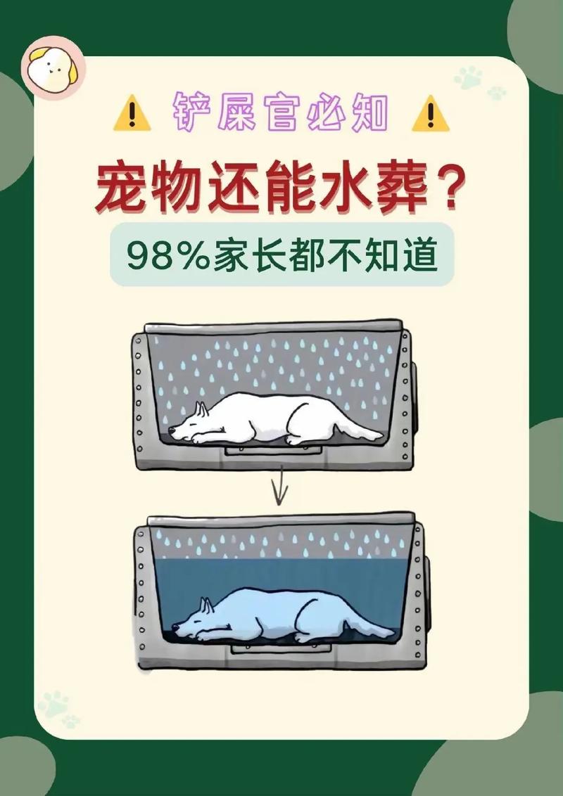 白小姐管家婆四肖八码和英国推动水葬合法化与英国推动水葬合法化的原因