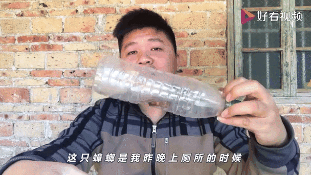 新澳今天晚上9点30分358期-百度和北京现带翅膀大蟑螂与北方带翅膀的蟑螂